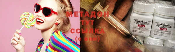 прущие грибы Усмань