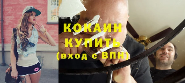 прущие грибы Усмань